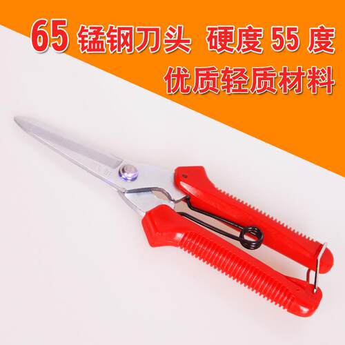 韩式多功能修枝剪采果剪修剪果树枝剪刀园艺工具粗枝剪花木剪刀