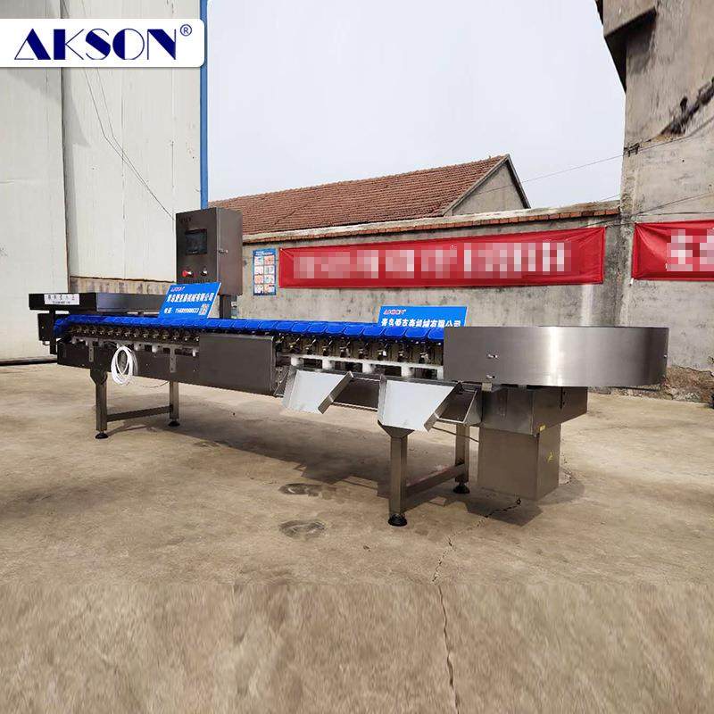 人参自动称重分选机全自动猕猴桃重量分拣机猕猴桃重量分选机,工业油品/胶粘/化学/实验室用品,其他实验室设备,淘宝优惠券,粉丝福利购,淘宝优惠卷