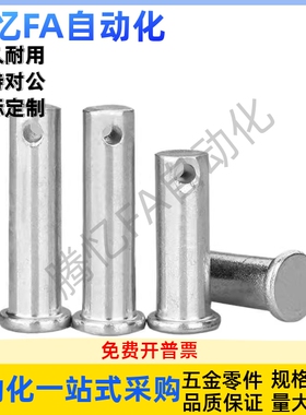 MIB11/MIB12/MIB13/MIB14/MIB21-D5D6D8D10D12D13D17带肩铰链销