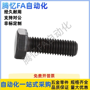 M5M6M8M10M12 L45L50L55L60L65L70 内六角孔型PBH51 止动螺栓