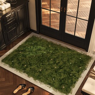 绿色高端入口门地垫Pvc耐污可擦洗门垫入口换鞋 门垫毛毯