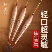柳韩芦苇浮漂高灵敏加粗醒目鱼漂陈年芦苇鱼漂抗走水轻口鲫鱼漂
