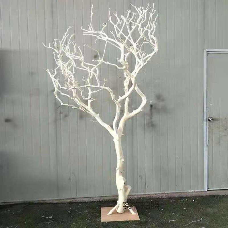 白色干树枝造景干枝树干许愿树枯树室内造型树枝干原木树枝装饰树