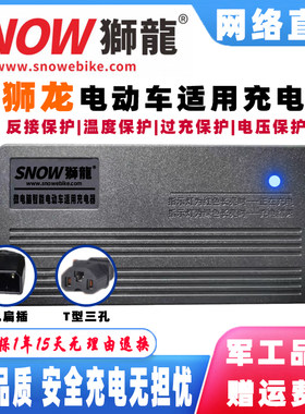 狮龙电动车电瓶充电器48V12AH60V20AH72伏32AH84V96V50AH两孔扁针