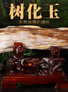 缅甸树化玉原石摆件天然冰种硅化木木化石奇石客厅景观石观赏石头