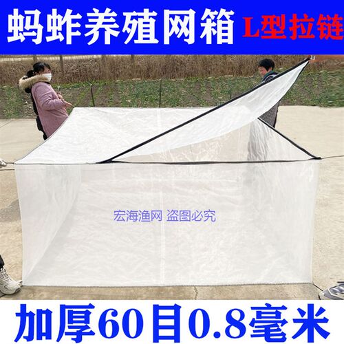 加厚60目泥鳅黄鳝鱼加盖网箱水蛭牛蛙水产养殖网箱蚂蚱防逃网箱