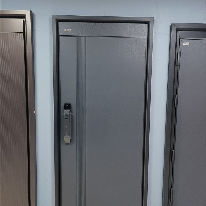 神将安全门卡典雅防盗门智能可视指纹锁全国包安装