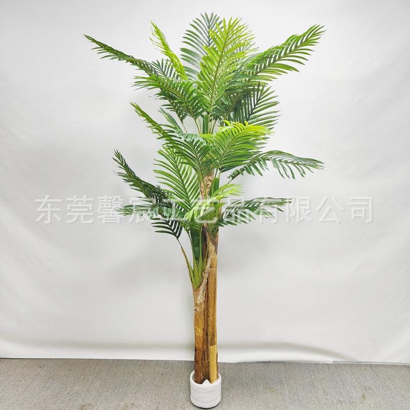 细竹葵芭蕉皮杆细竹葵室内落地盆xc000001景装真饰仿真芭仿蕉