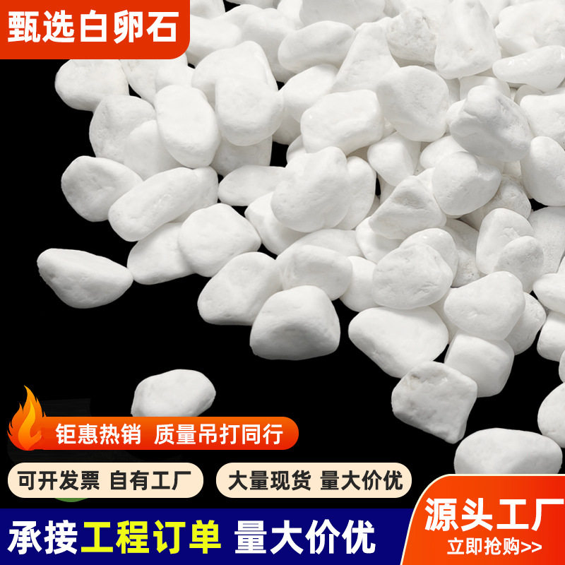 现货直发磨圆白石子庭院造景小石头鱼缸沙盘装饰道路美化白卵石