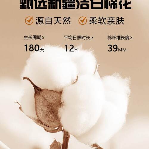 022件新款纯XBL棉床单单100全棉加厚款双人5被单枕套三件套四季通