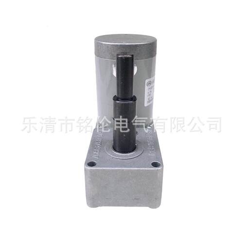 ZY220-6-106永磁直J流减速电机70W0.7A1ITB7r/min断路器6电动机