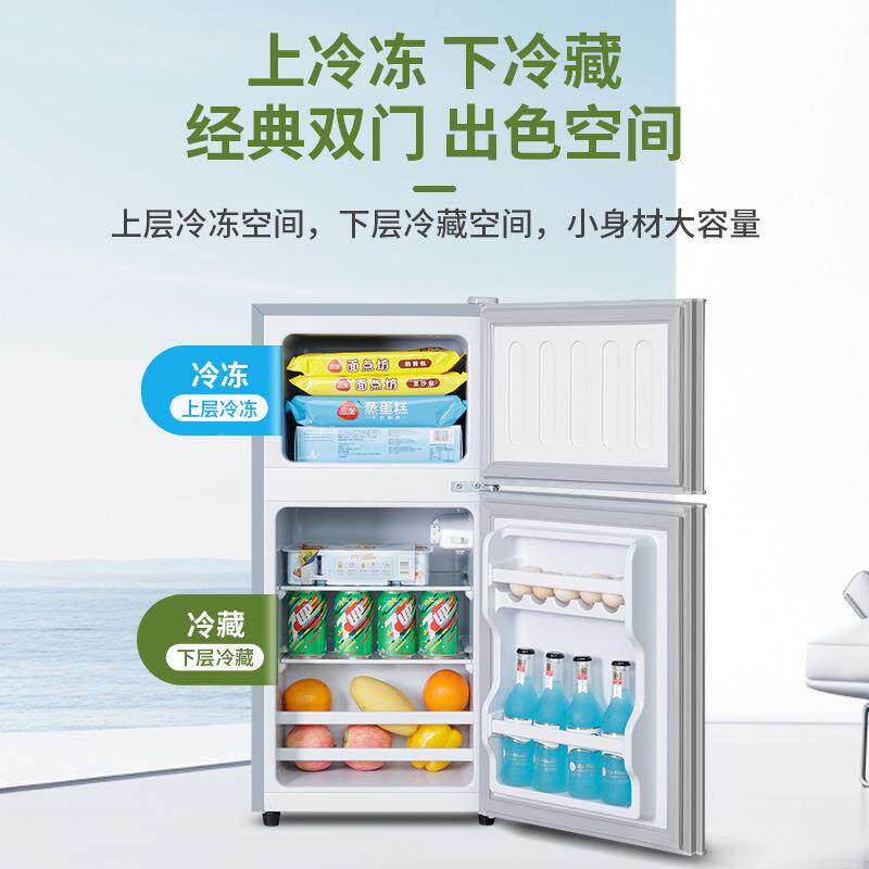 一能效小冰BNA箱用二人用家用型出级租房宿舍迷你双门小电冰箱