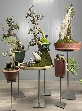 工字型大盆景支架不钢YGY防滑户外盆景号几中架盆栽锈号展示花架