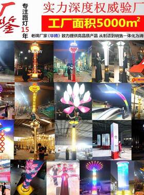 华腾6米市道路政工程路灯220v户电外大型市LD76093E景观灯照明路