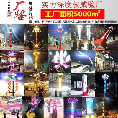 华腾6米市道路政工程路灯220v户电外大型市LD76093E景观灯照明路