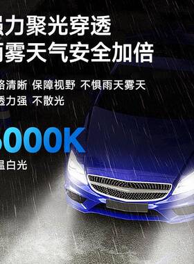 17Wled车灯双铜灯管汽车大灯改装OBUH4灯泡le汽车0灯汽车led大d灯