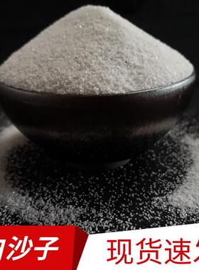20-4目草坪白色沙子沙方解石砂雪花白球32185场0肌理画石英砂白细