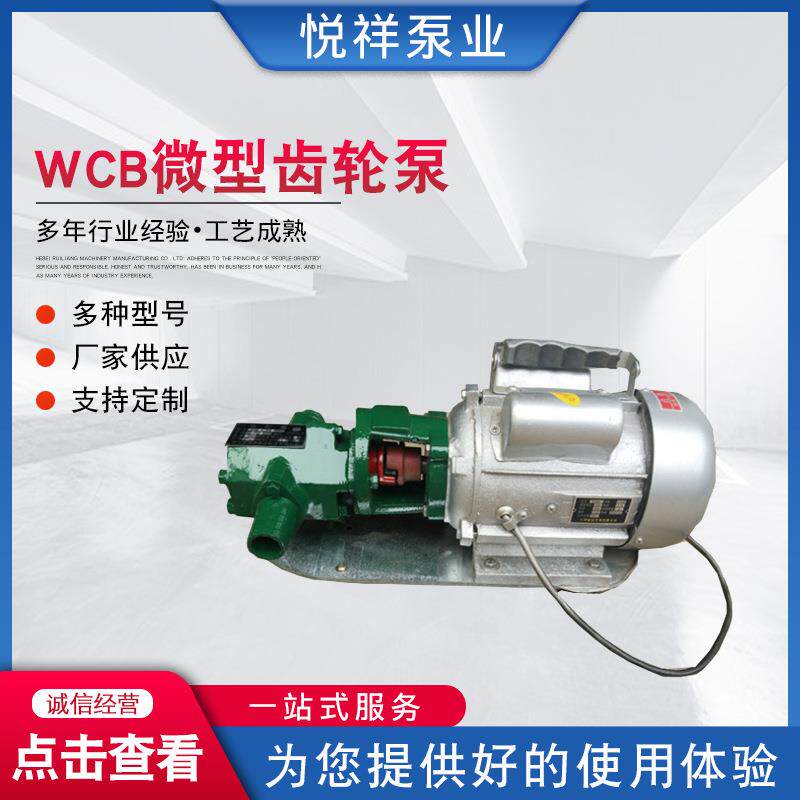 WC微型油齿轮泵NWJWCB手提式齿B轮泵微型电动抽泵吸力齿轮油泵