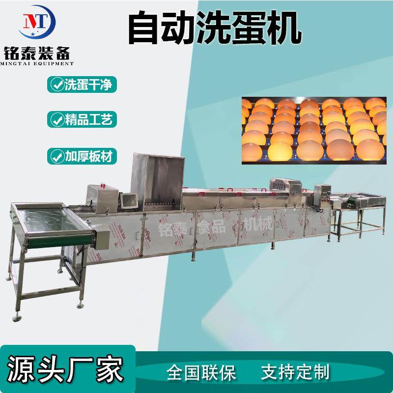 双排自动洗蛋机土鸡蛋清洗风干杀菌一体机松花蛋前处理设备,清洗/食品/商业设备,其他食品加工设备,淘宝优惠券,粉丝福利购,淘宝优惠卷