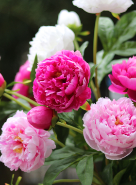 高档芍药仿真花假花客厅摆件餐厅装饰花瓶套装绢花干花摆设牡丹花