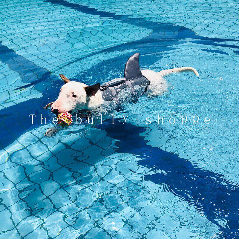 宠物救生衣狗狗游泳衣大中小型犬户外救生衣拉布拉多法斗牛头梗
