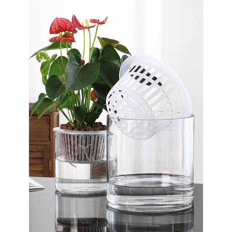 水培植物玻璃瓶子透明养绿圆柱形缸花瓶萝简约花盆掌筒直水容器白