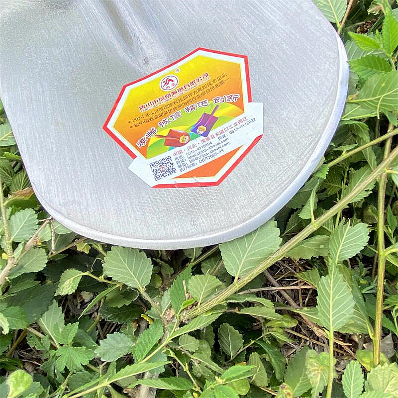 燕南钢锹尖头铁锨铁锹铲子家用工地农用草坪树根山药锹挖坑挖树锹