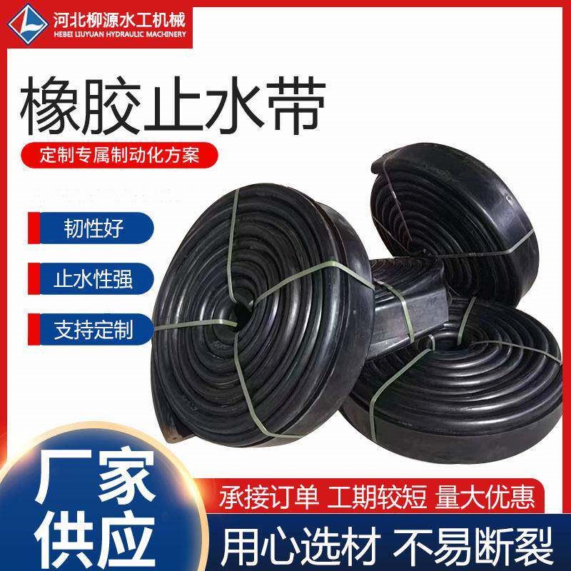 中埋橡胶止水带651型建筑施工高弹抗压外贴钢边橡胶止水带 - 实物图