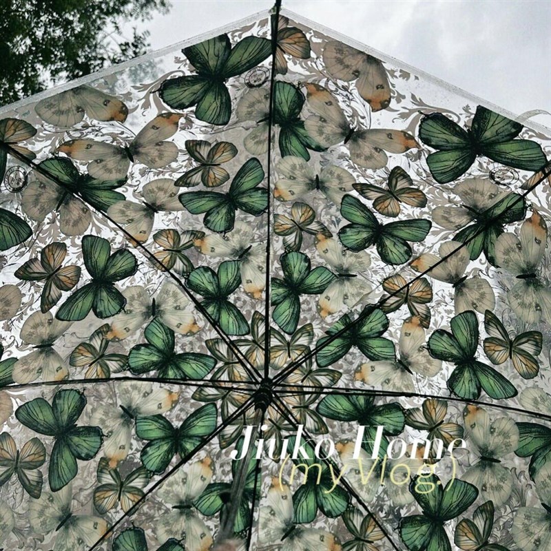 绿色蝴蝶花雨伞透明印花伞女自动大号欧州宫廷风中世纪拍照拱型伞