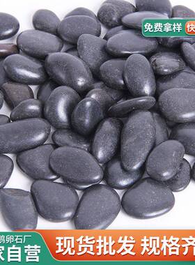 黑色鹅卵石天色抛光雨花石工程石铺ZZW路家装修鱼缸黑装饰石然头