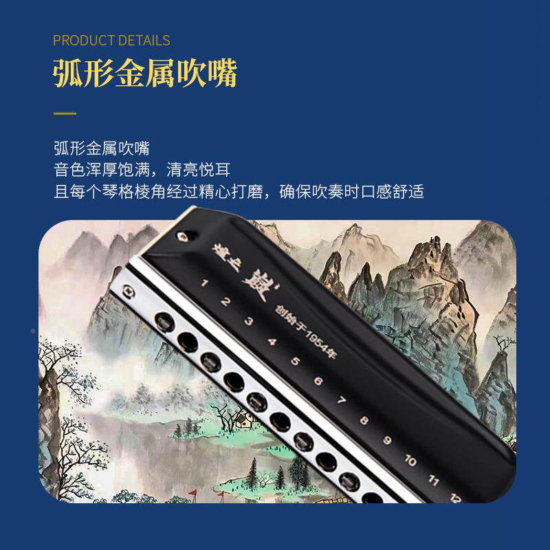 敦煌Ｄ12412孔半8Ｄ1248音阶口琴初学成人专业电商