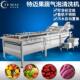 XML现货自销售杨清梅洗机全动沙商棘果气泡清洗机用刺梨清洗设备