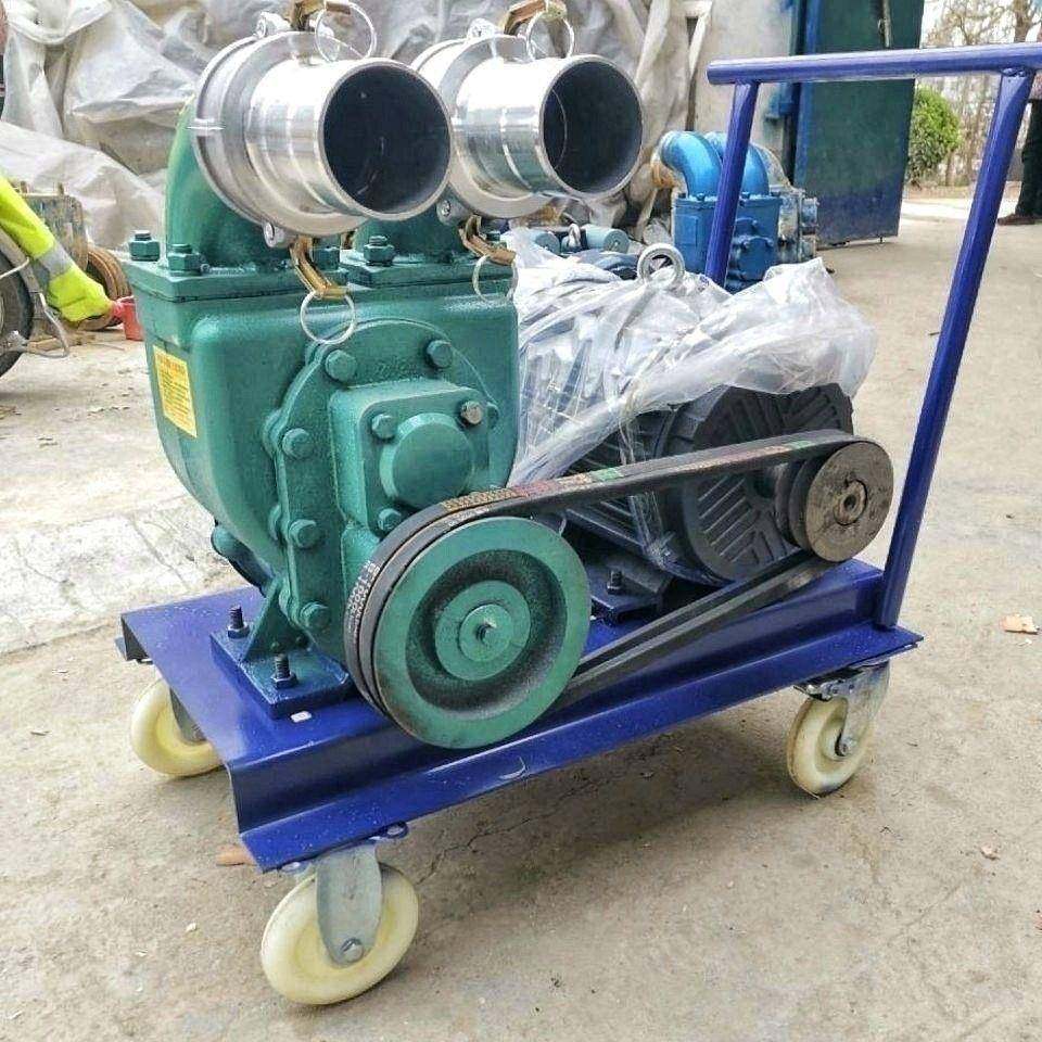 殖泵场抽粪泵吸粪污水泵污养泵DFS泥浆泵化粪池真空排吸污抽粪泵