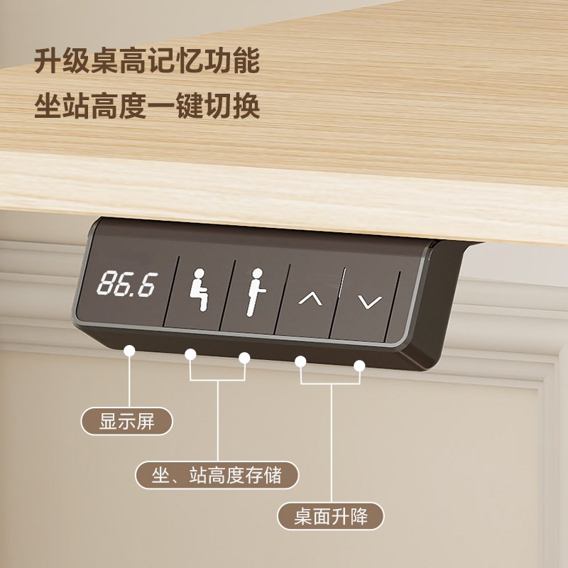 乐歌电动升降桌E1S/E1N小户型家用办公笔记本书桌电脑桌学习桌