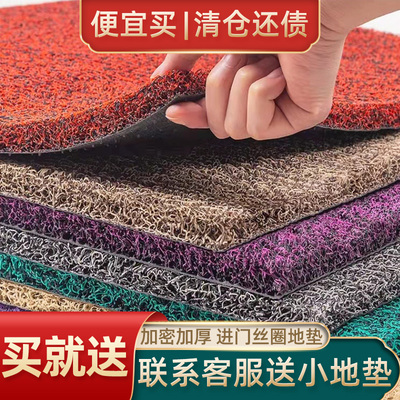 pvc进门入户门入门防滑丝圈地垫门垫门口垫子家用免洗定制可裁剪