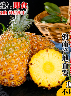 海南金钻凤梨正宗台农17号手撕香水菠萝新鲜水果大甜无眼应季整箱
