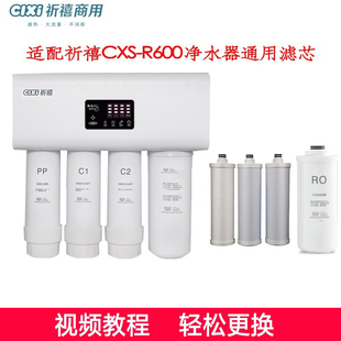活性炭 PP棉 过滤 R600净水器通用滤芯反渗透RO 适配家用祈禧CXS