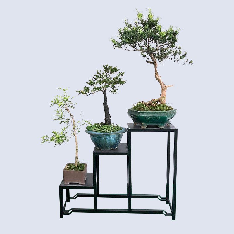 铝合金阶梯三连体花架中式岭南盆景绿植花卉室内户外阳台盆景支架