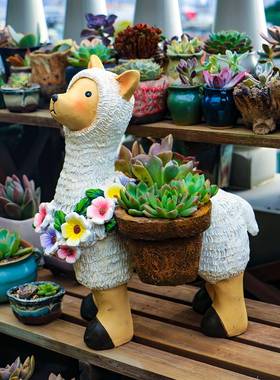 真小羊花盆摆件动物羊驼户外仿阳YT2024YT台花园肉脂盆栽多容器跨