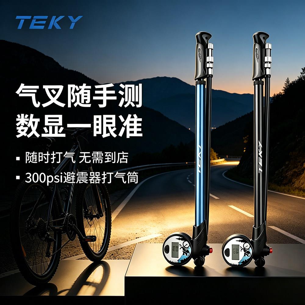 公路自行车前叉后胆避震器气筒专用迷你可携式美法嘴轮胎高压打气