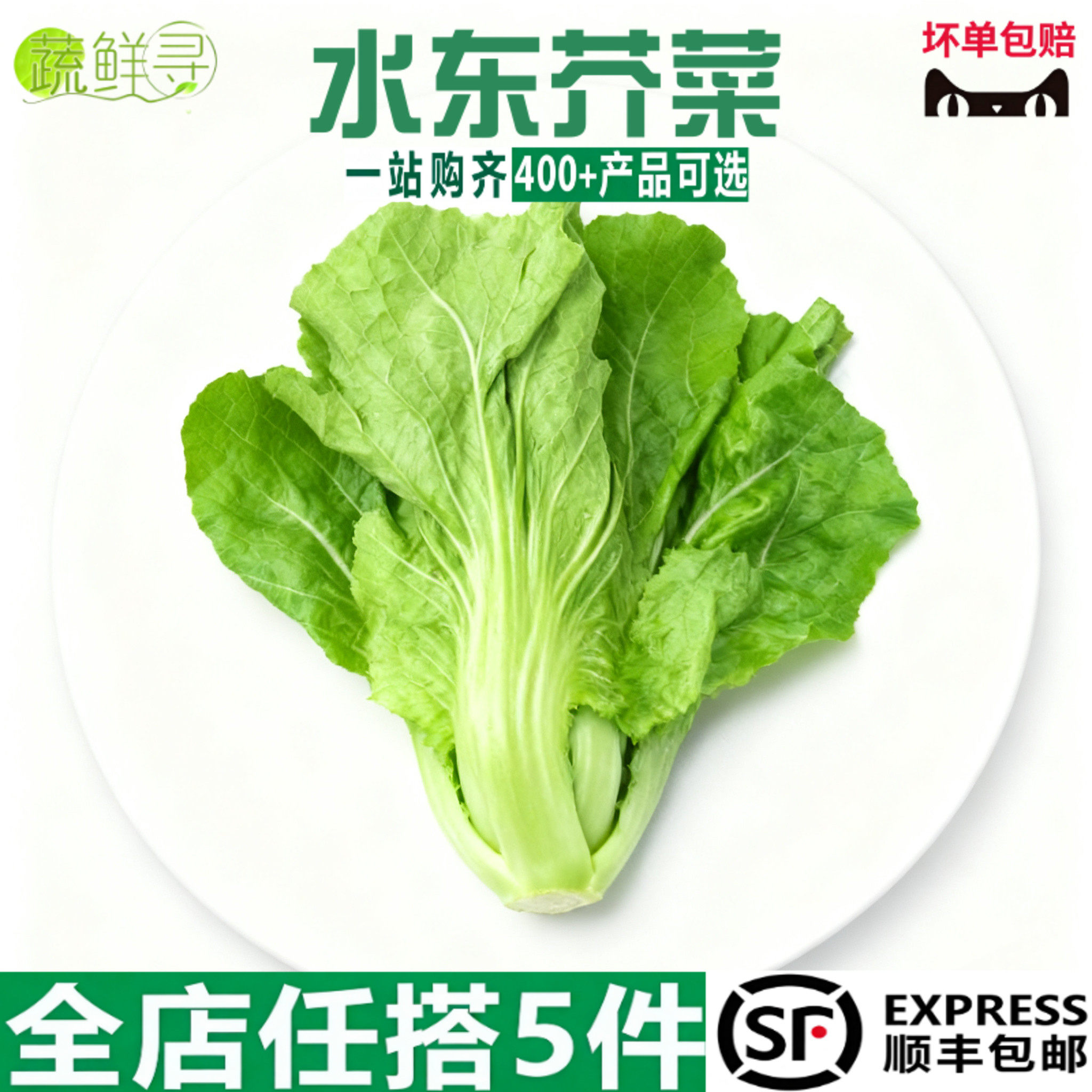 新鲜蔬菜广东水东芥菜盖菜包心芥菜酸菜鱼做泡菜