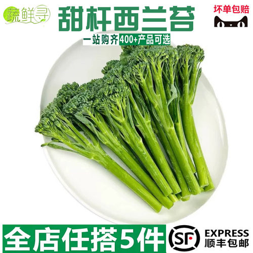新鲜甜杆西兰花兰花苔芦笋迷你西兰花宁夏手指兰花苔菜苔新鲜蔬菜