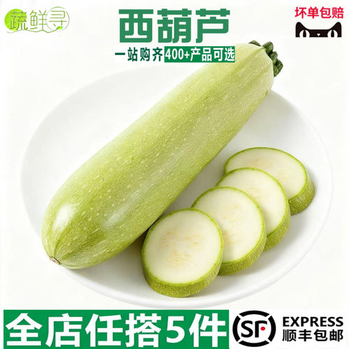 西葫芦小嫩瓜长形新鲜蔬菜嫩小金瓜嫩南瓜绿皮甜瓜小角瓜新鲜蔬菜