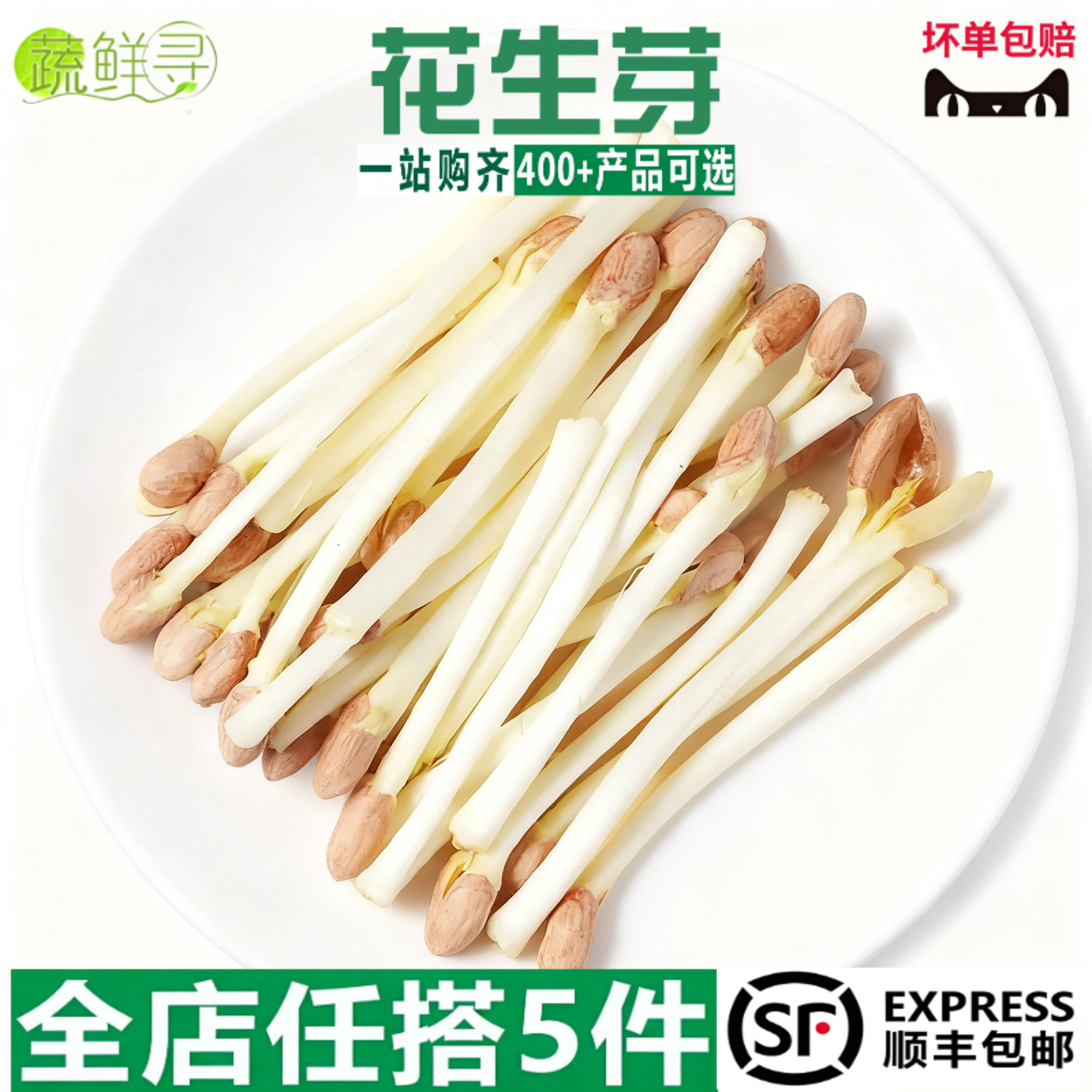 新鲜花生芽菜白色细长芽苗菜营养健康食材