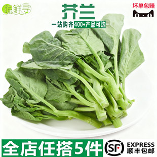 新鲜芥兰菜脆嫩绿叶甘蓝芥蓝当季现摘农家时令蔬菜新鲜蔬菜