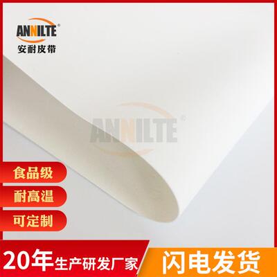 安耐厂家直供耐酸碱耐高温聚酯网格方格环形输送带不变形不龟裂