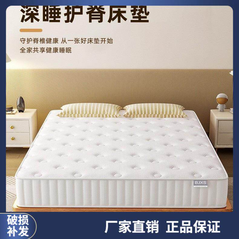 席梦思弹簧床垫20cm厚硬椰棕租房1.5米酒店家用卧室乳胶软垫