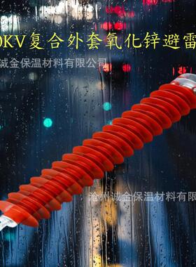 110KV悬挂式氧化锌避雷器HY10WX-108-281高压户外YH10WX-102/296