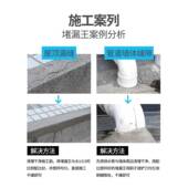堵防漏王凝堵漏王水不漏速型厨房卫生间屋顶漏地裂缝修补注浆水