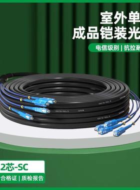 外成品铠装光缆2芯4芯空6芯8芯1免2芯架熔接户外光纤线网线ESKS室